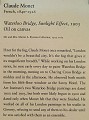 Chicago Art Museum 2010 0486